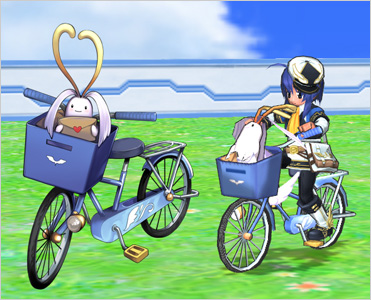 Bicycle Carrier Pigeon